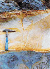 約100万年前の常楽寺火山灰層の写真