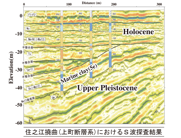住之江撓曲（上町断層系）におけるS波探査結果