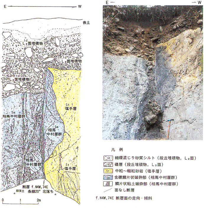双葉断層露頭